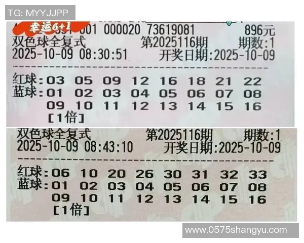 双色球与其他彩票的对比分析揭示中奖概率与玩法差异的深度探讨